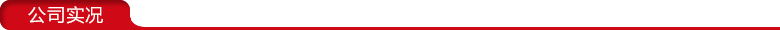 公司實況 公司實況